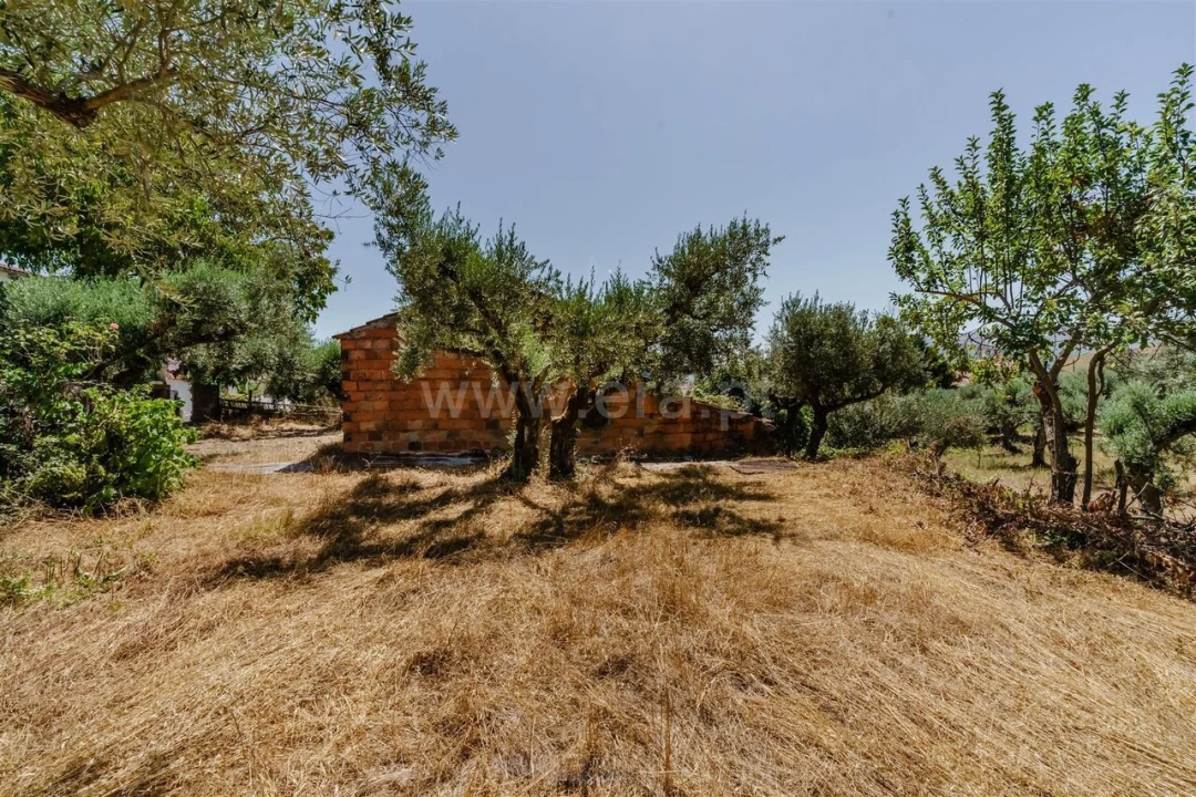 Terreno para Venda em Telhado Foto 8