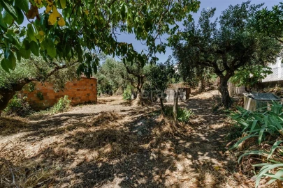 Terreno para Venda em Telhado