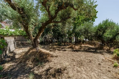 Terreno para Venda em Telhado