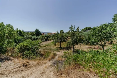 Terreno para Venda em Telhado