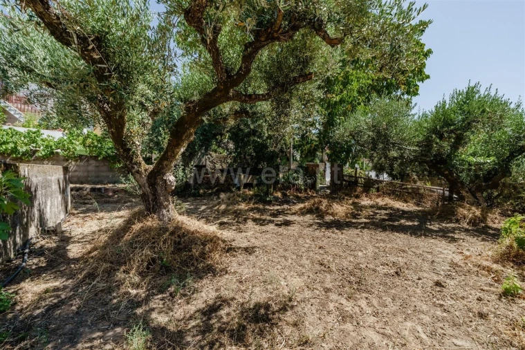 Terreno para Venda em Telhado Foto 10