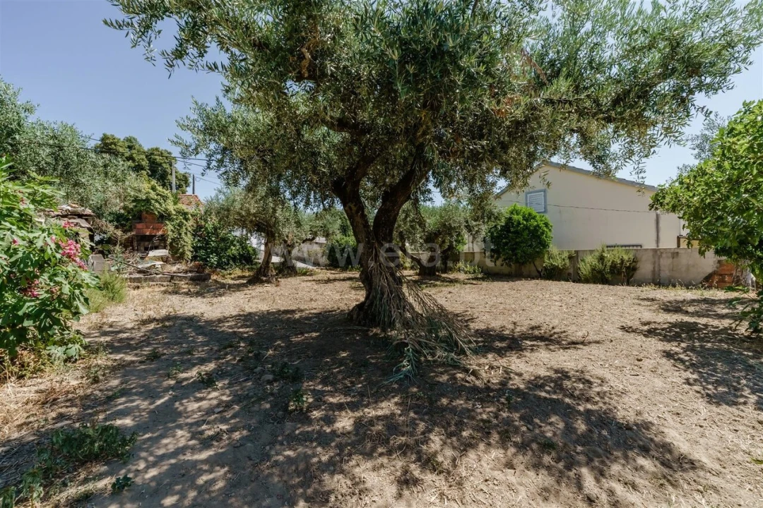 Terreno para Venda em Telhado Foto 1