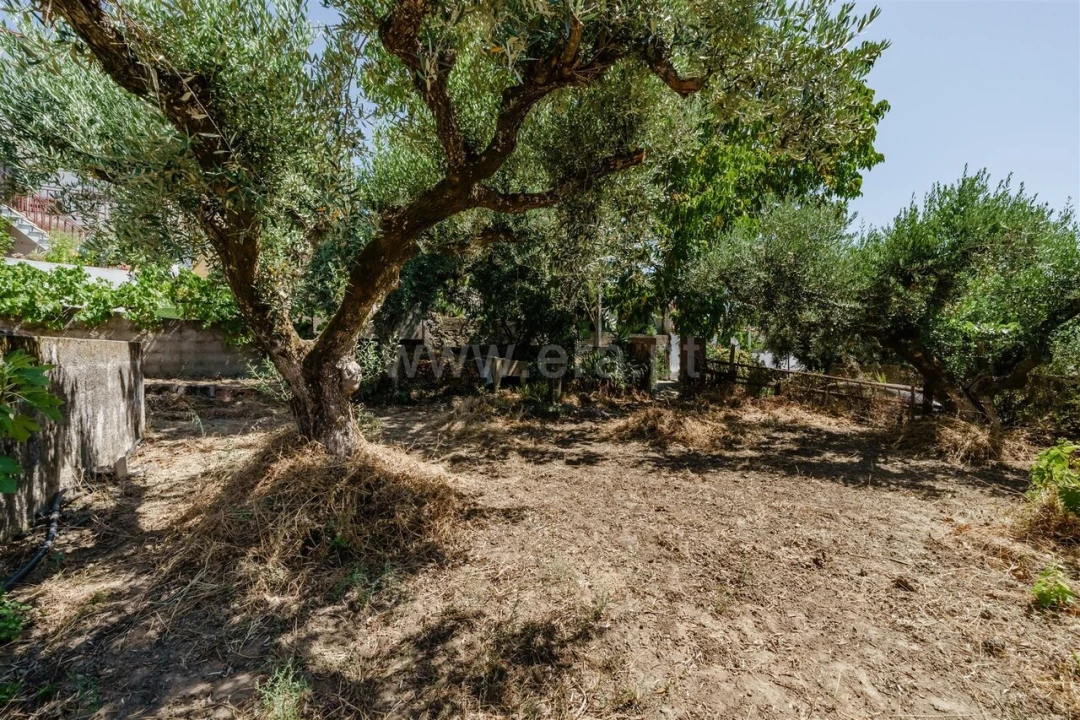Terreno para Venda em Telhado Foto 10