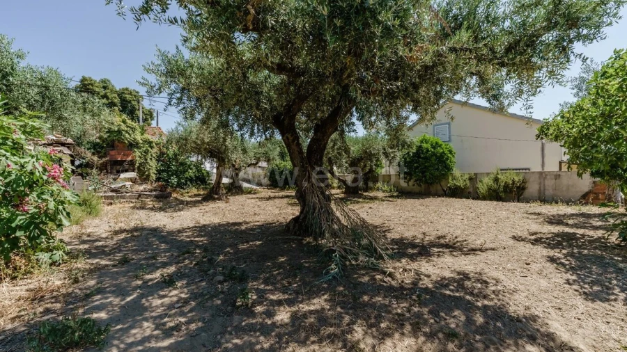 Terreno para Venda em Telhado