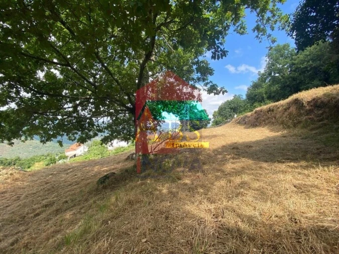 Terreno para Venda em Vade Foto 4