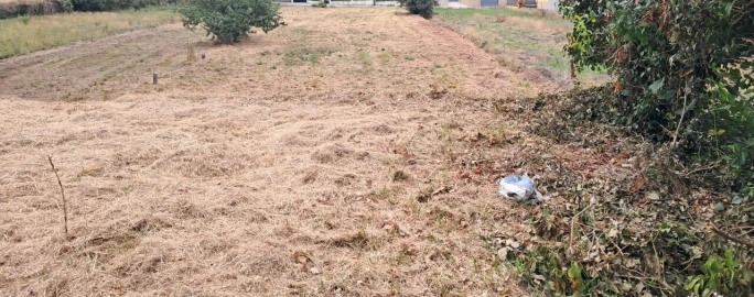 Terreno para Venda em Carregosa