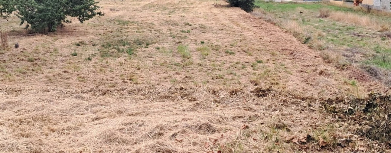 Terreno para Venda em Carregosa Foto 4