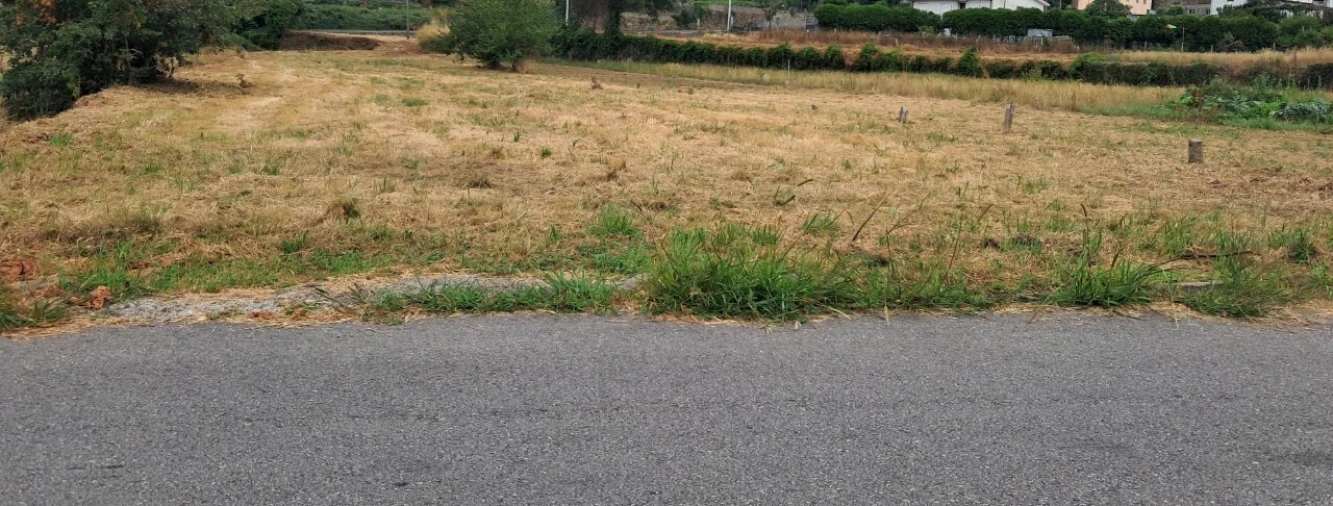 Terreno para Venda em Carregosa Foto 3