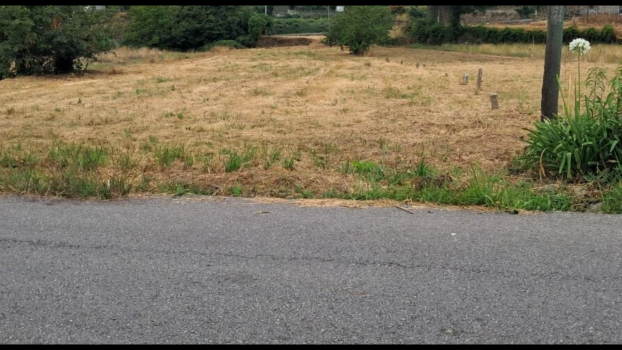Terreno para Venda em Carregosa