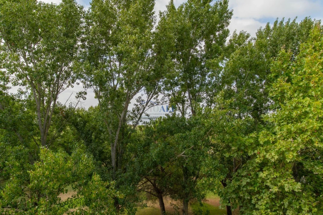 Apartamento T3 para Venda em Montijo e Afonsoeiro Foto 23