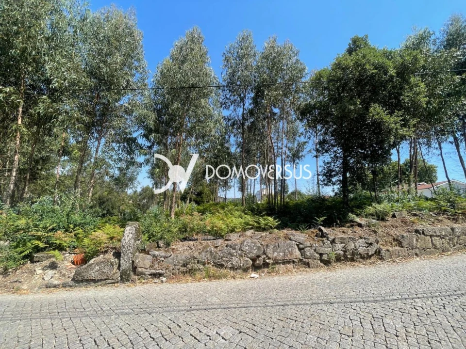 Terreno para Venda em Pedroso e Seixezelo Foto 8