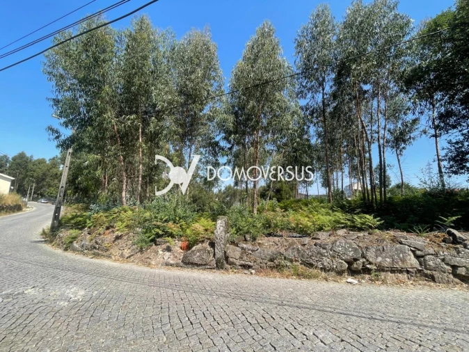 Terreno para Venda em Pedroso e Seixezelo Foto 9