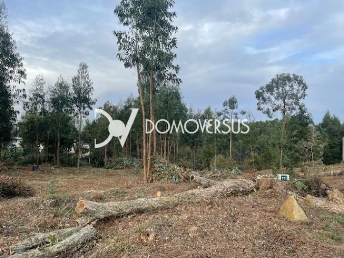 Terreno para Venda em Pedroso e Seixezelo Foto 3