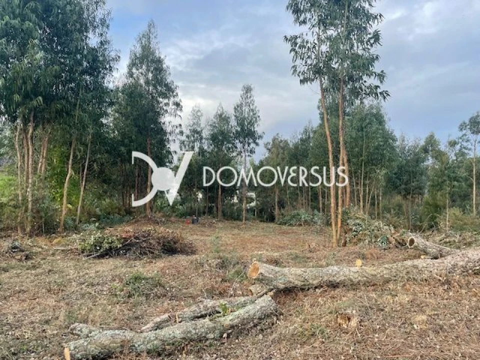 Terreno para Venda em Pedroso e Seixezelo Foto 4
