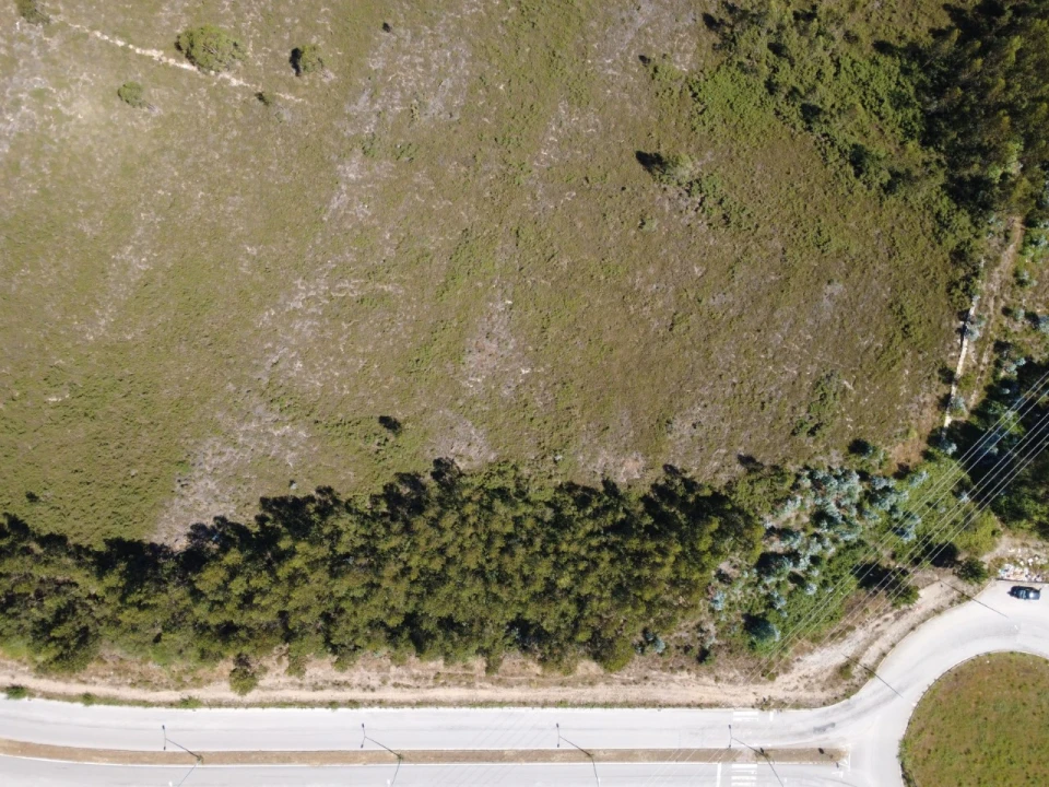 Terreno para Venda em Campo e Sobrado Foto 6