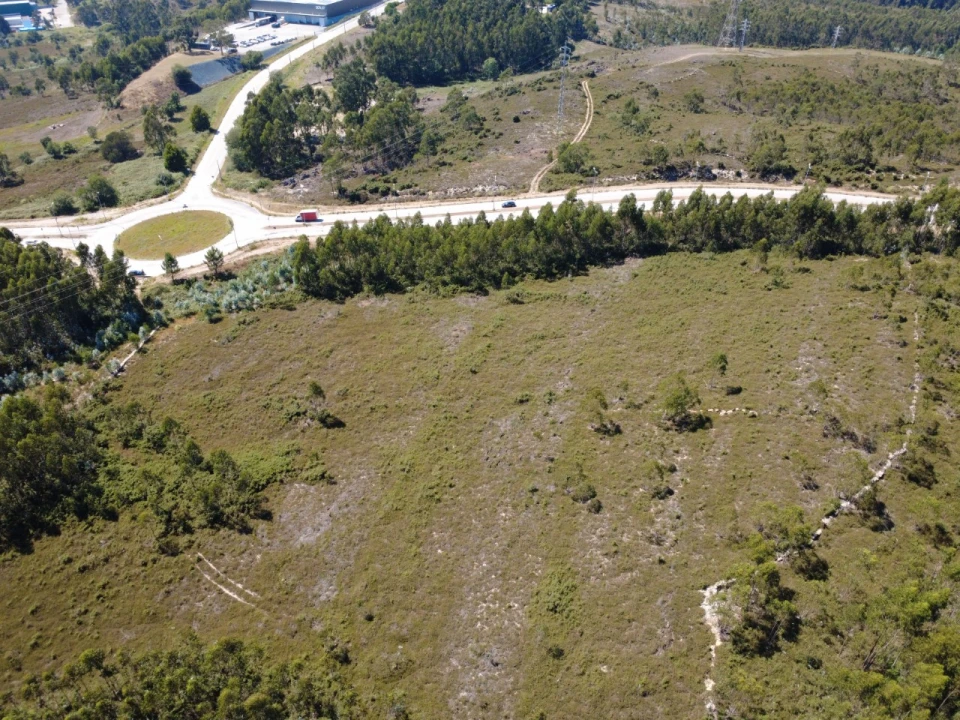 Terreno para Venda em Campo e Sobrado Foto 7