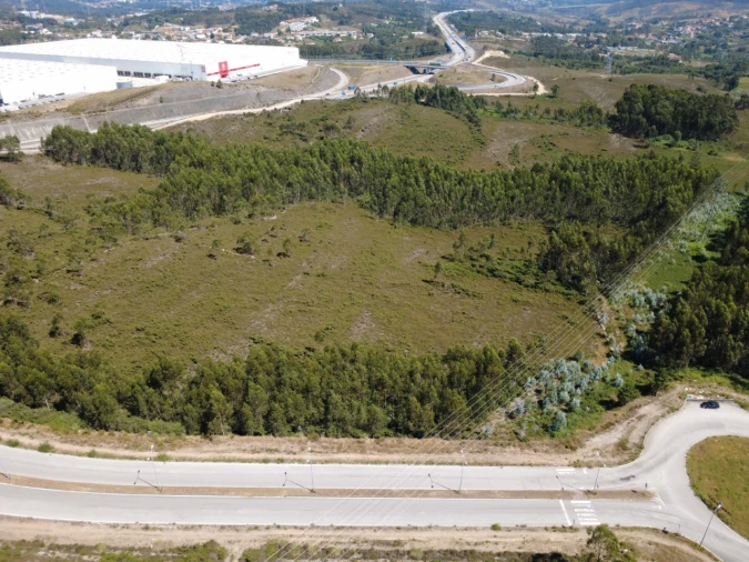 Terreno para Venda em Campo e Sobrado Foto 5