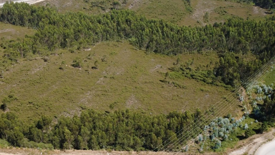 Terreno para Venda em Campo e Sobrado