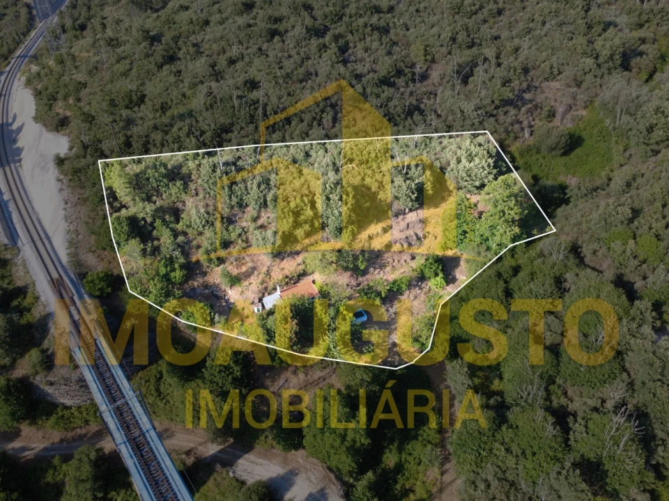 Quinta T1 para Venda em João Antão Foto 2