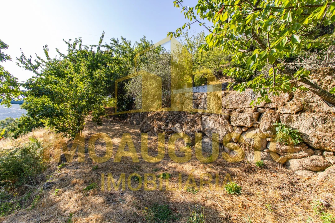 Quinta T1 para Venda em João Antão Foto 11