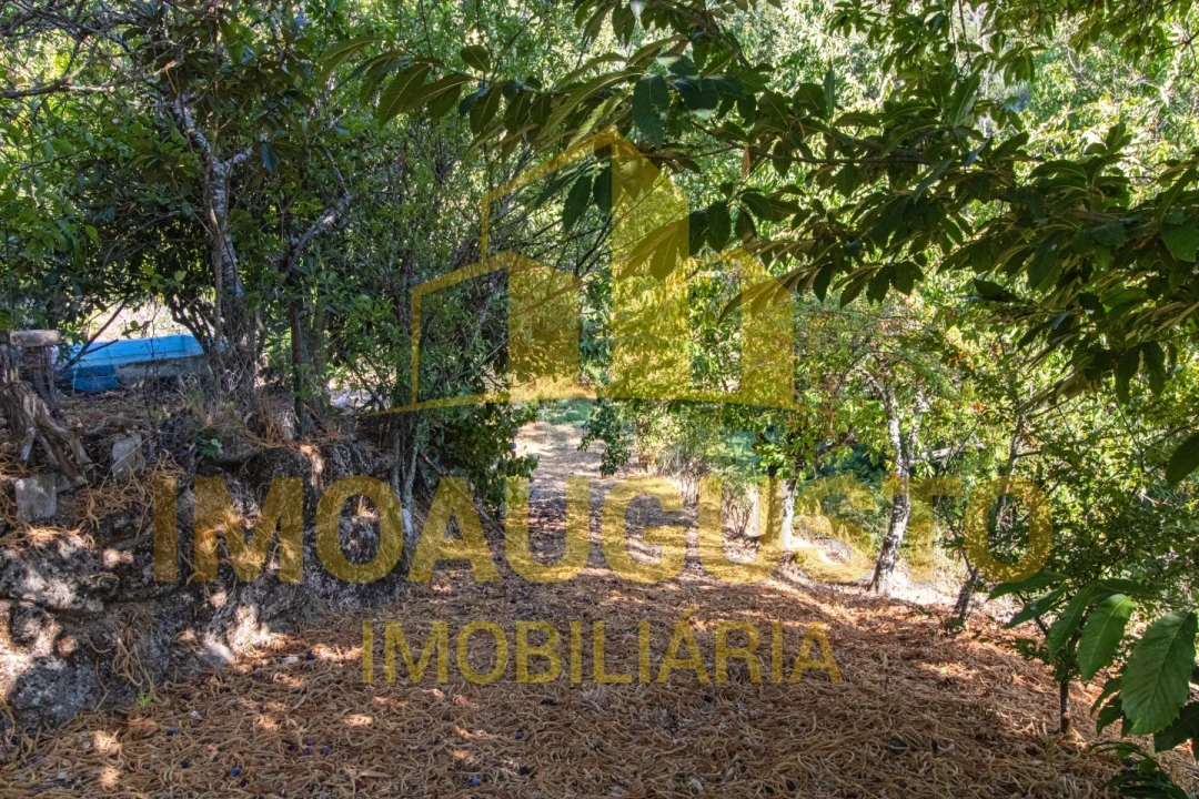 Quinta T1 para Venda em João Antão Foto 13