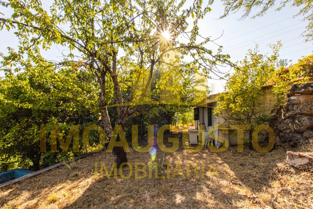 Quinta T1 para Venda em João Antão Foto 4