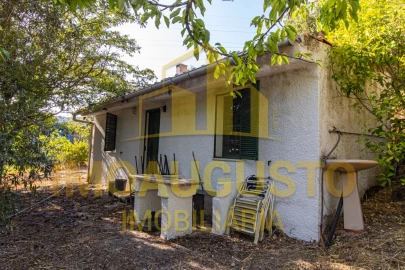 Quinta T1 para Venda em João Antão