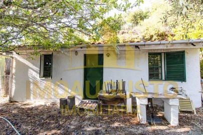 Quinta T1 para Venda em João Antão