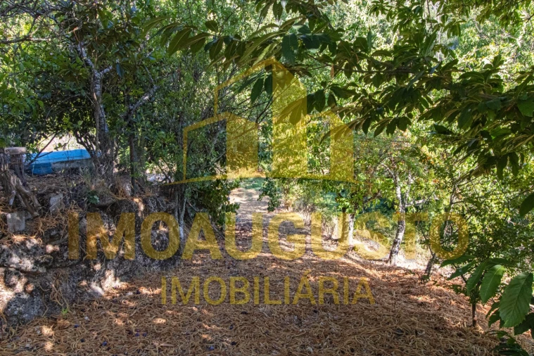 Quinta T1 para Venda em João Antão Foto 13