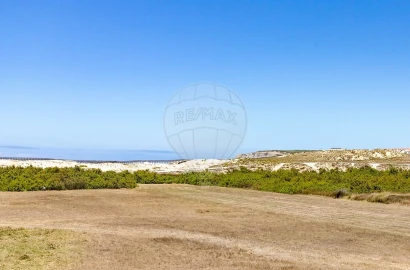 Moradia T4 para Venda em São Pedro da Cadeira