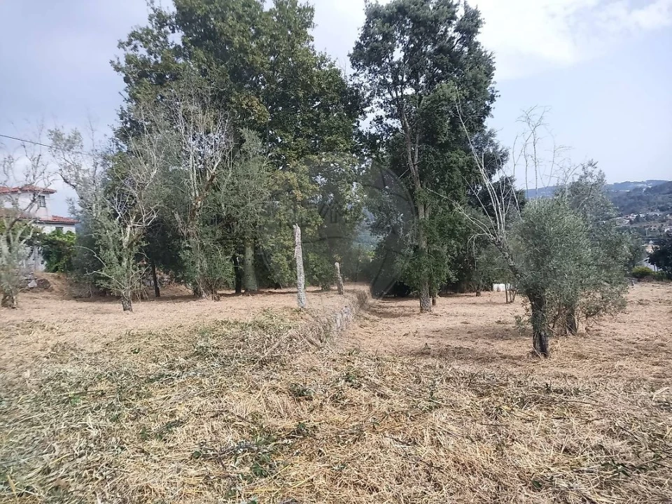 Terreno para Venda em Várzea, Aliviada e Folhada Foto 2