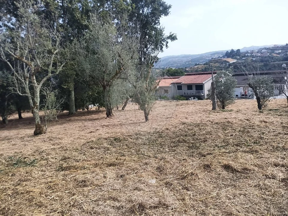 Terreno para Venda em Várzea, Aliviada e Folhada Foto 7