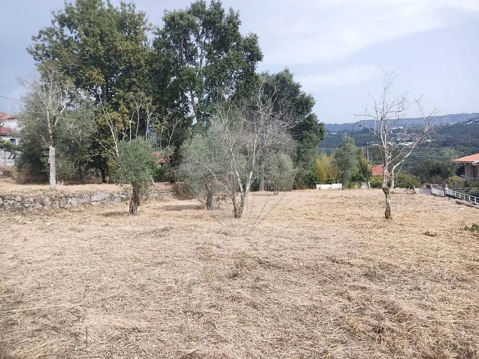 Terreno para Venda em Várzea, Aliviada e Folhada Foto 10