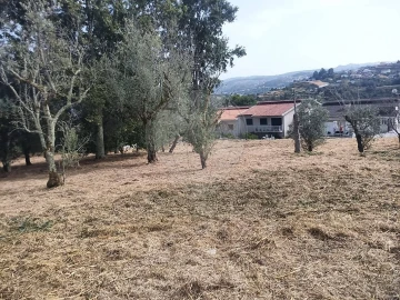 Terreno para Venda em Várzea, Aliviada e Folhada