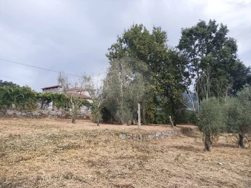 Terreno para Venda em Várzea, Aliviada e Folhada