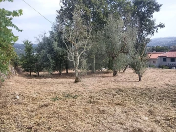 Terreno para Venda em Várzea, Aliviada e Folhada