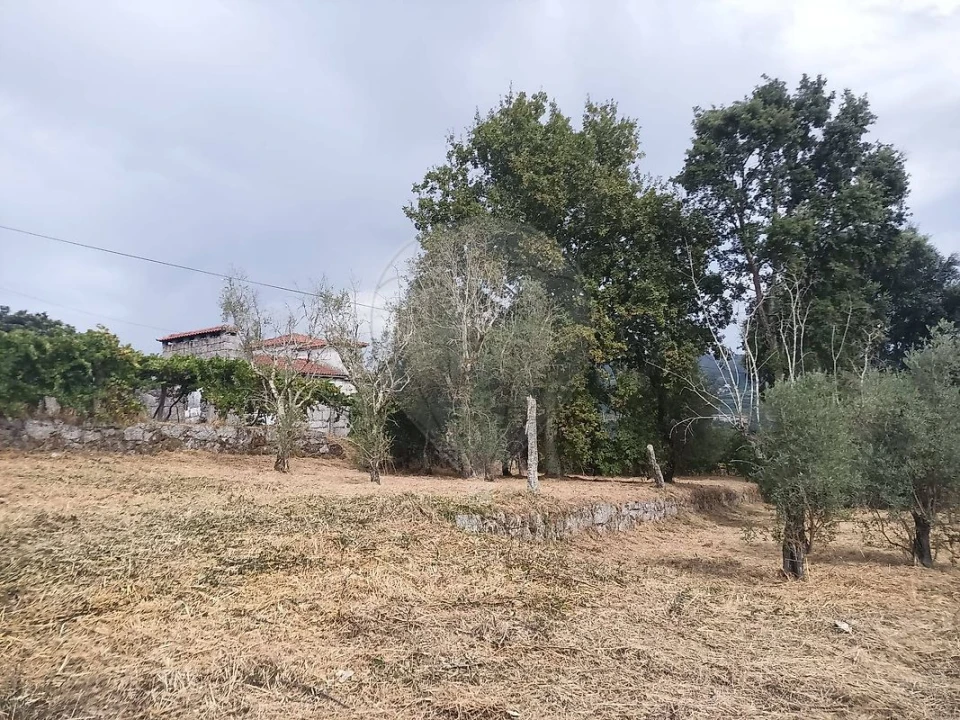 Terreno para Venda em Várzea, Aliviada e Folhada Foto 8