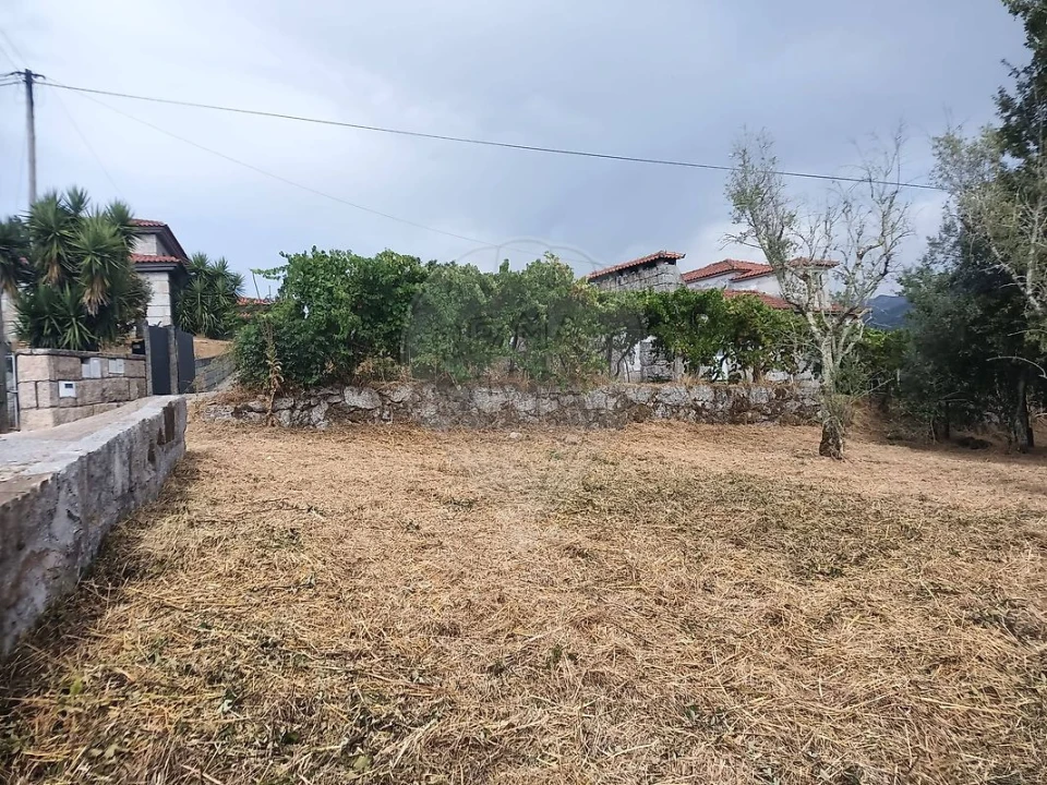Terreno para Venda em Várzea, Aliviada e Folhada Foto 3