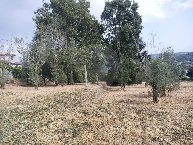 Terreno para Venda em Várzea, Aliviada e Folhada Foto 2