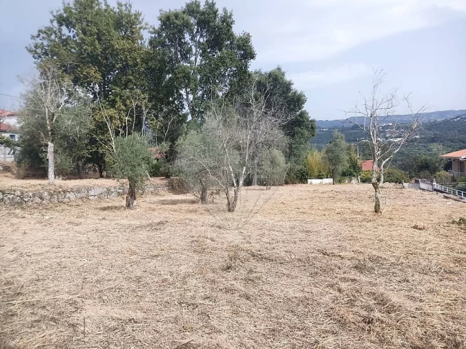 Terreno para Venda em Várzea, Aliviada e Folhada Foto 10