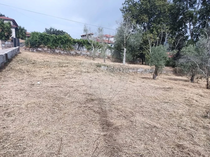 Terreno para Venda em Várzea, Aliviada e Folhada Foto 9