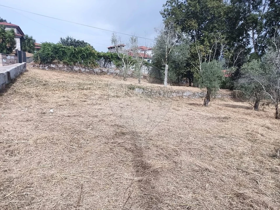 Terreno para Venda em Várzea, Aliviada e Folhada Foto 9