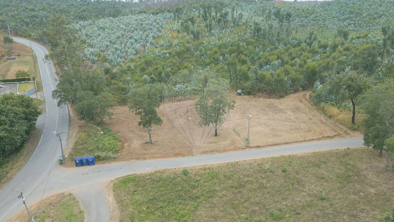 Terreno para Venda em Pinheiro da Bemposta, Travanca e Palmaz Foto 7