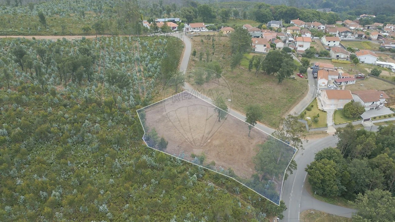 Terreno para Venda em Pinheiro da Bemposta, Travanca e Palmaz Foto 1