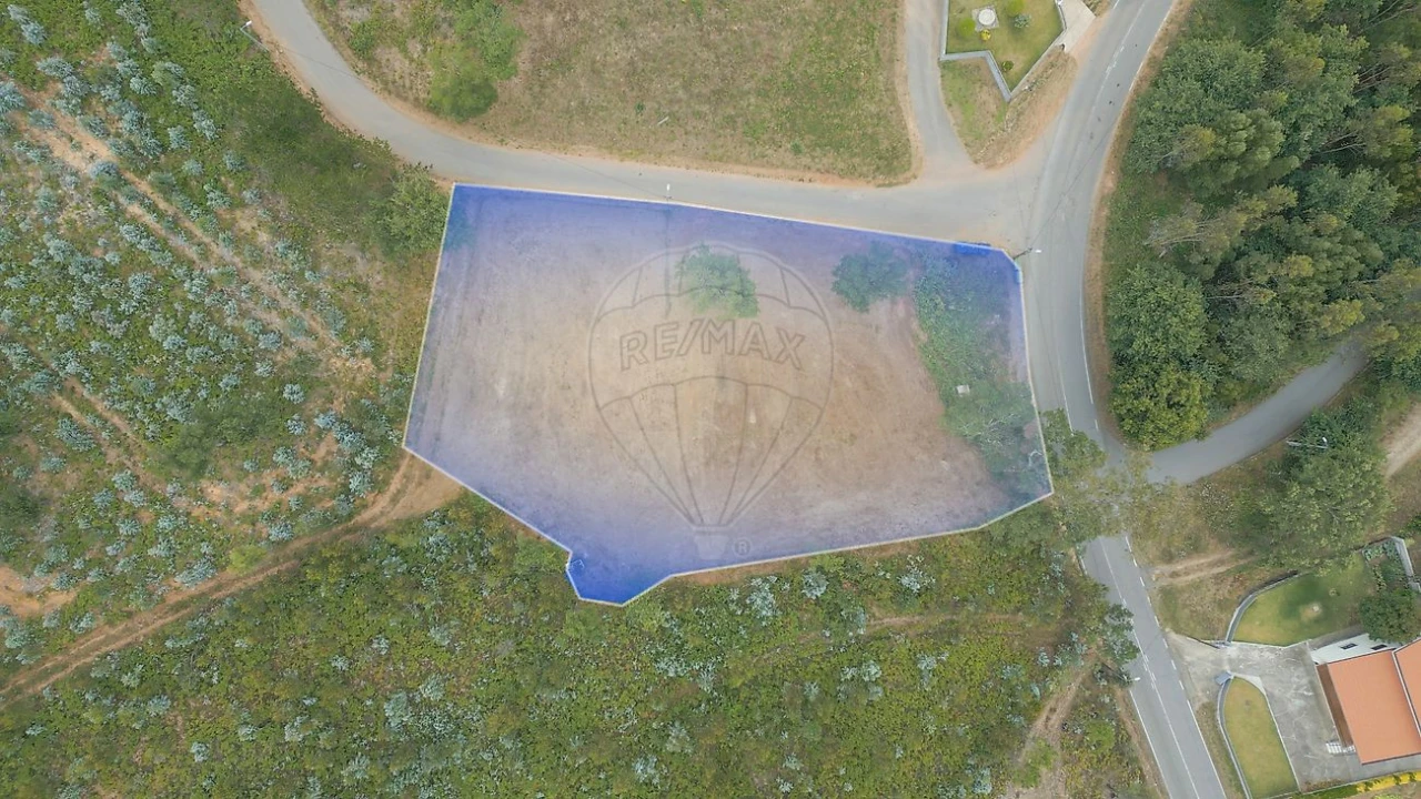 Terreno para Venda em Pinheiro da Bemposta, Travanca e Palmaz Foto 5