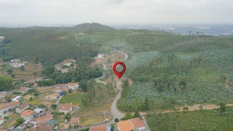 Terreno para Venda em Pinheiro da Bemposta, Travanca e Palmaz