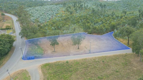 Terreno para Venda em Pinheiro da Bemposta, Travanca e Palmaz
