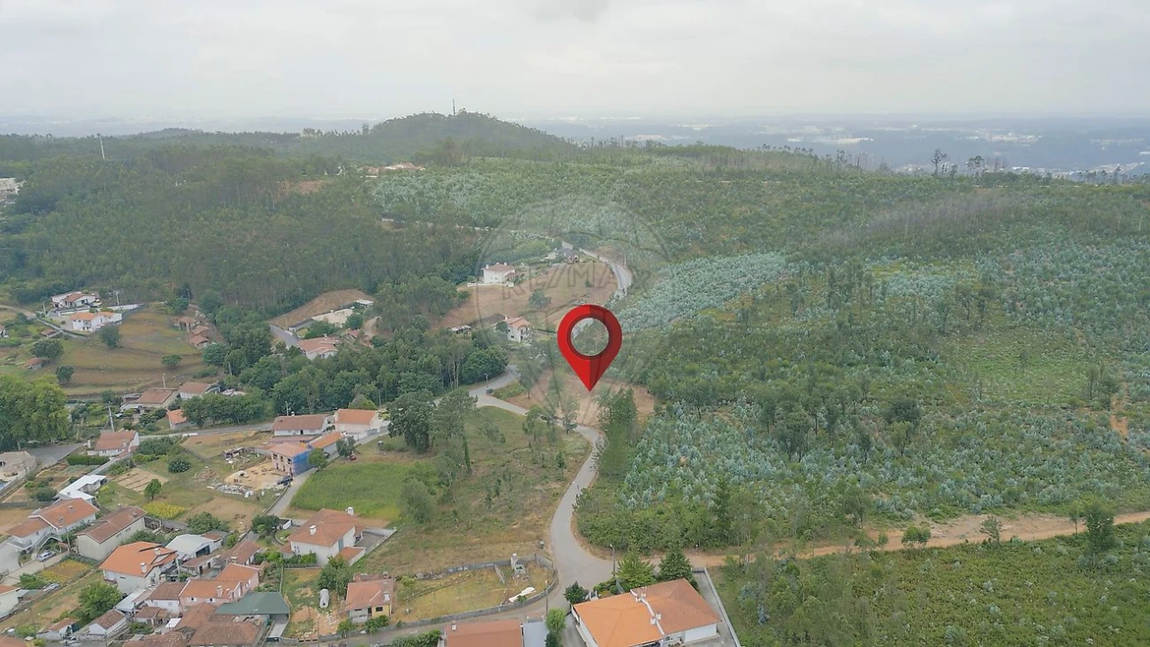 Terreno para Venda em Pinheiro da Bemposta, Travanca e Palmaz Foto 4