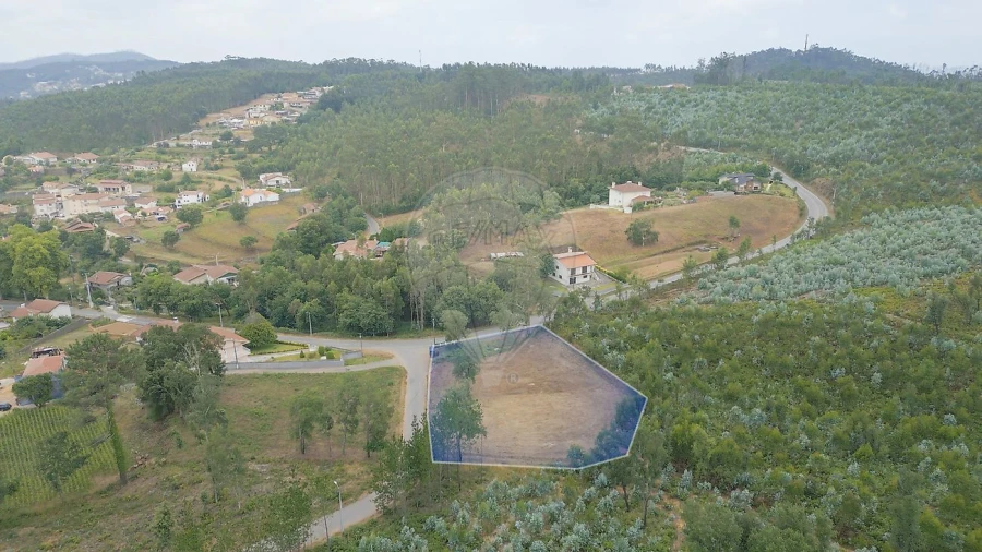 Terreno para Venda em Pinheiro da Bemposta, Travanca e Palmaz Foto 9