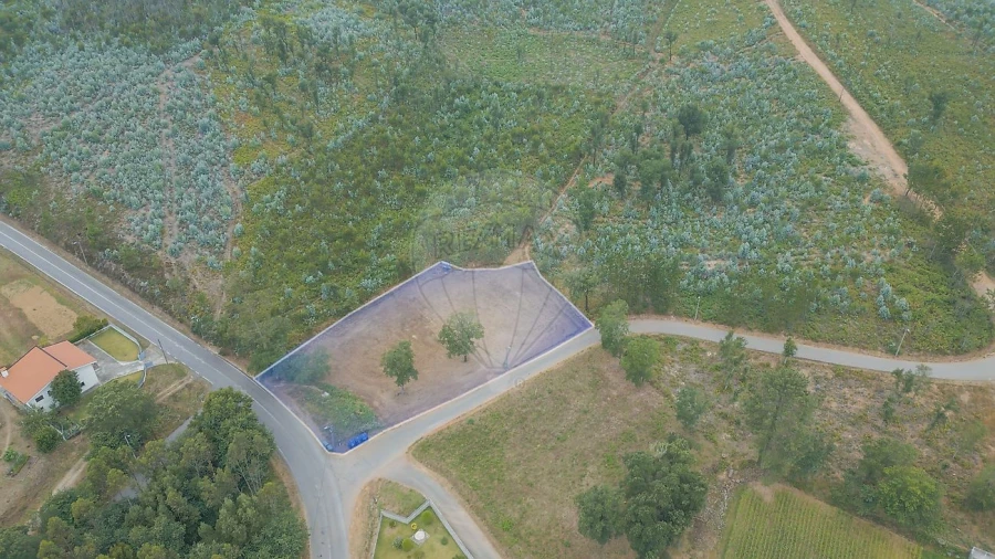 Terreno para Venda em Pinheiro da Bemposta, Travanca e Palmaz Foto 3